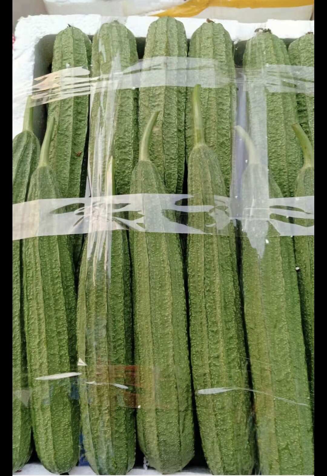 夏美丰花点大肉丝瓜种子 夏秋耐热顺直味甜口感好抗病丰产菜籽种