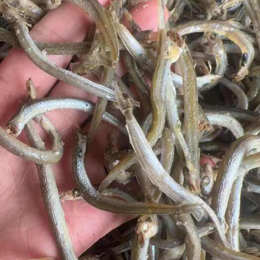 熟銀針魚干 地?cái)傠娚膛l(fā)銀銀針魚熟銀針魚魚干干魚