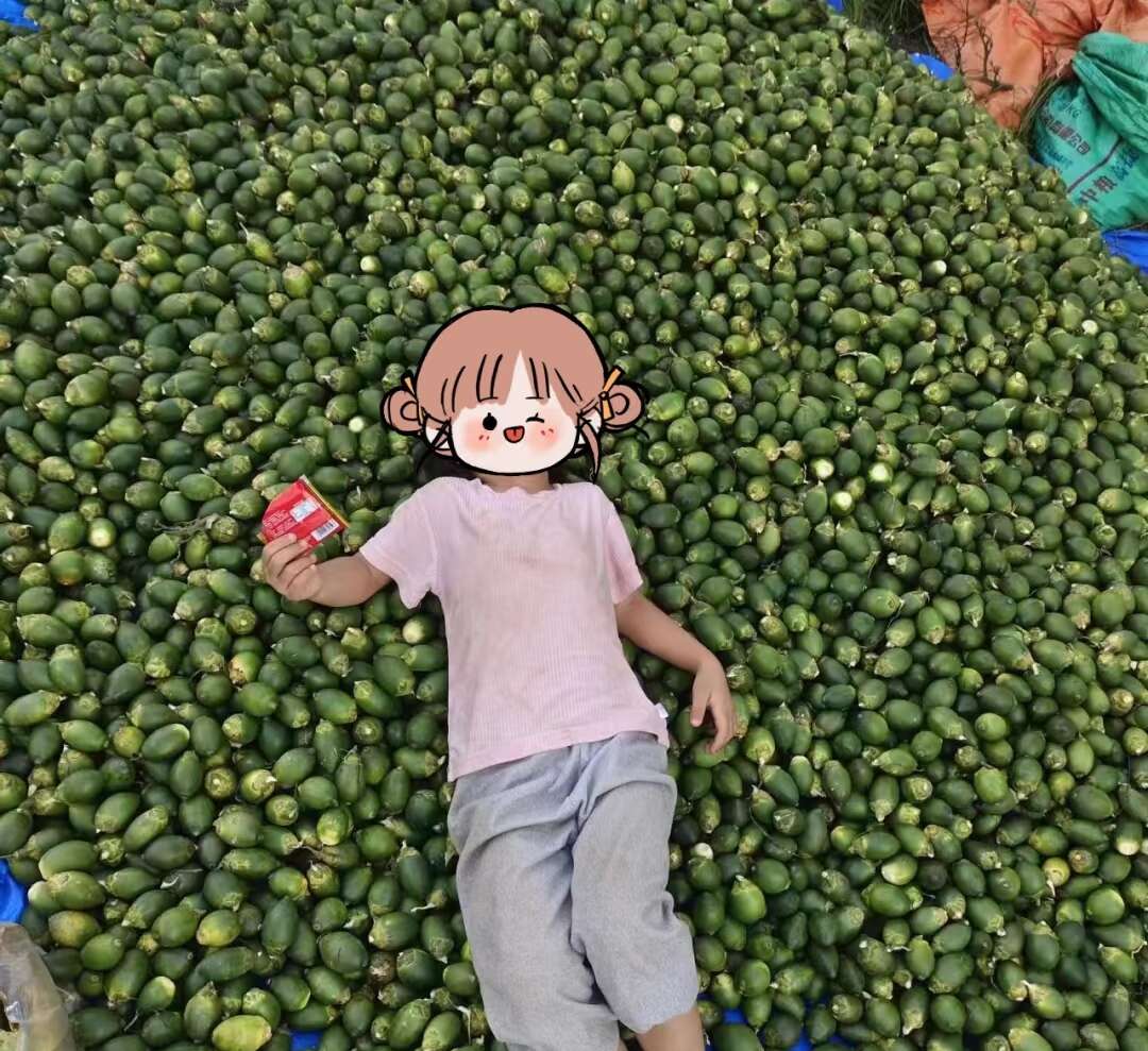 海南青槟榔，看得见的品质。海南果