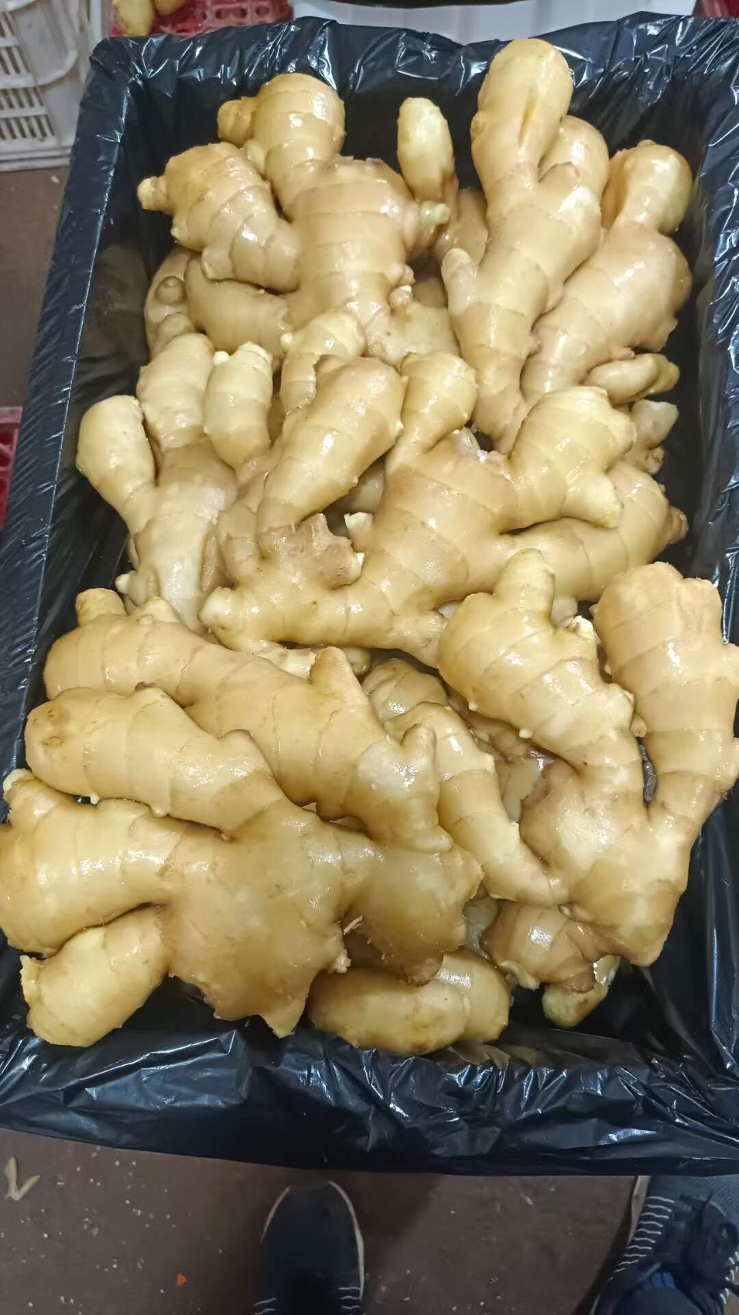 山东优质大黄姜，产地一手货源，保质保量支持全国发。