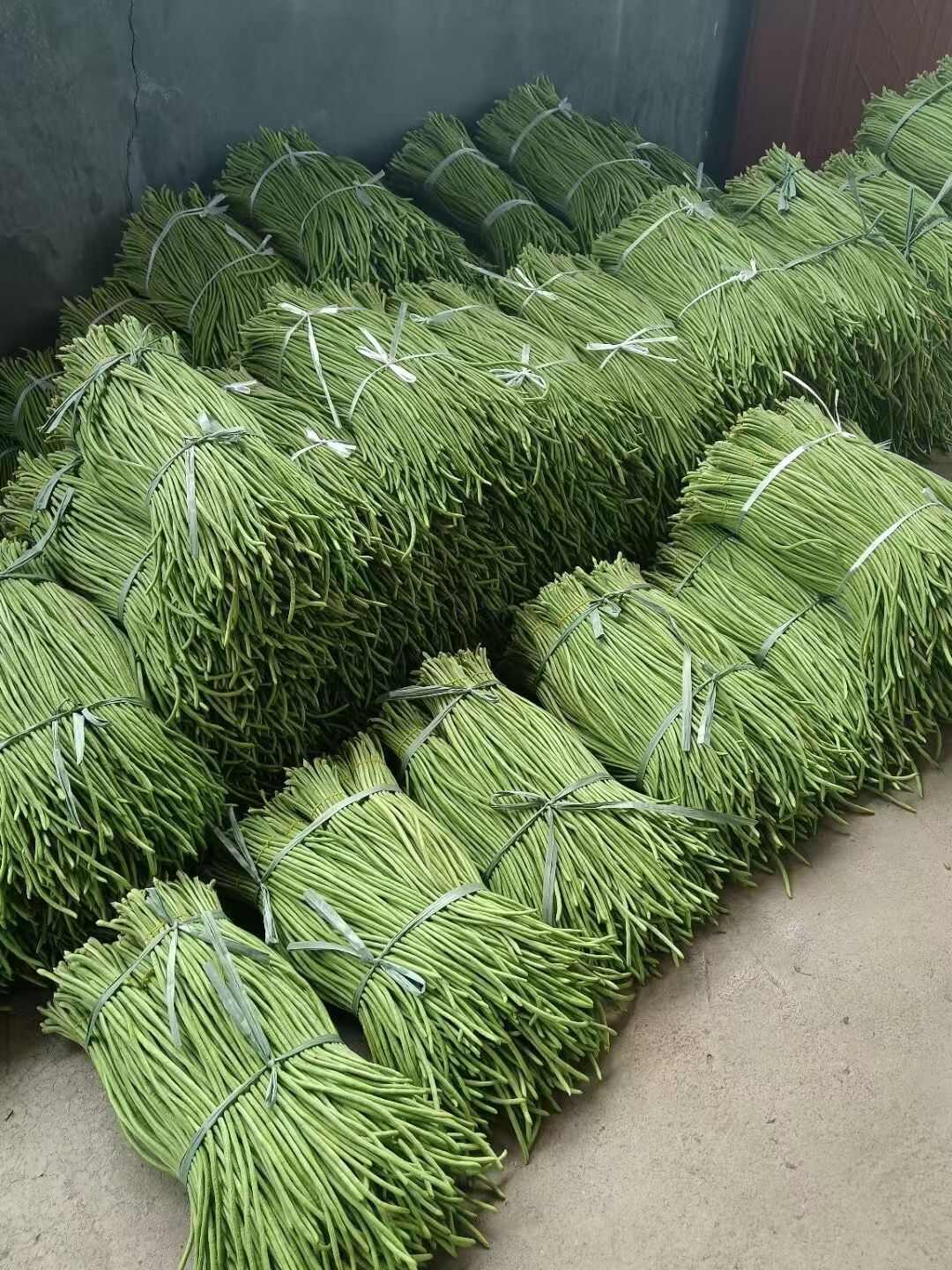 豆角种子 优质豇豆种子70至80厘米长 增产抗病