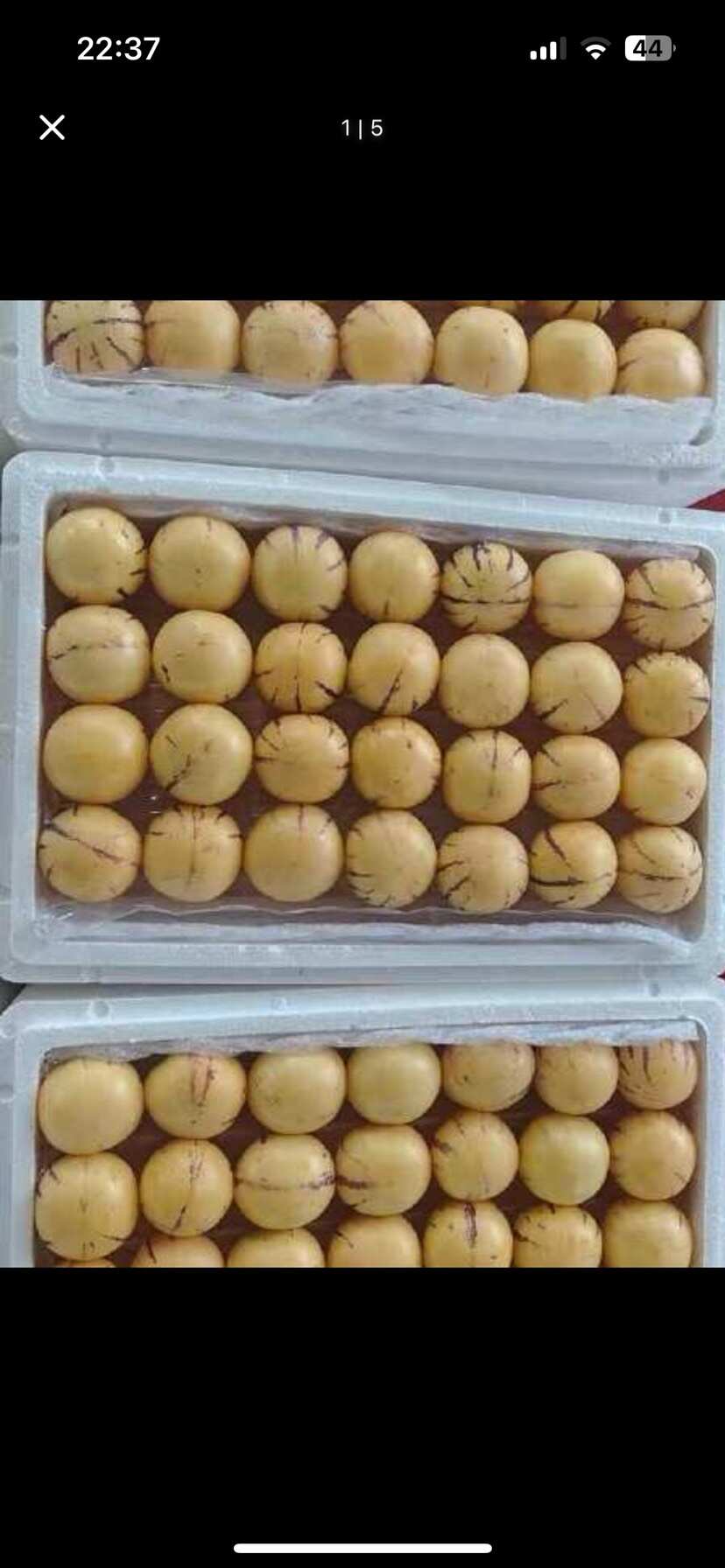 云南师宗人参果 新鲜核果仁果类水果