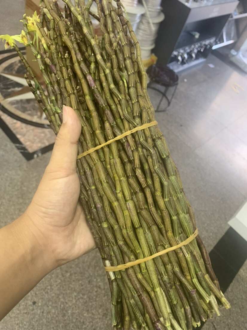 铁皮石斛鲜条浙江品种爆胶质条基地直发无中间商赚差价