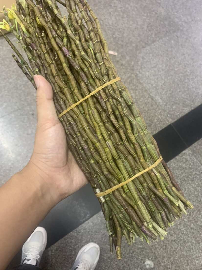 铁皮石斛鲜条浙江品种爆胶质条基地直发无中间商赚差价