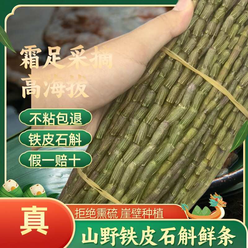 铁皮石斛鲜条浙江品种爆胶质条基地直发无中间商赚差价