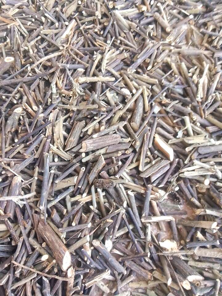 云南羊耳菊白面风毛将军枝条切段干货