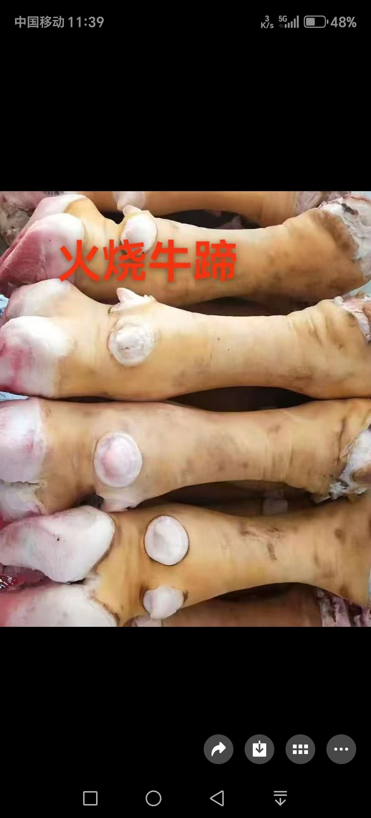 全部牛副产品