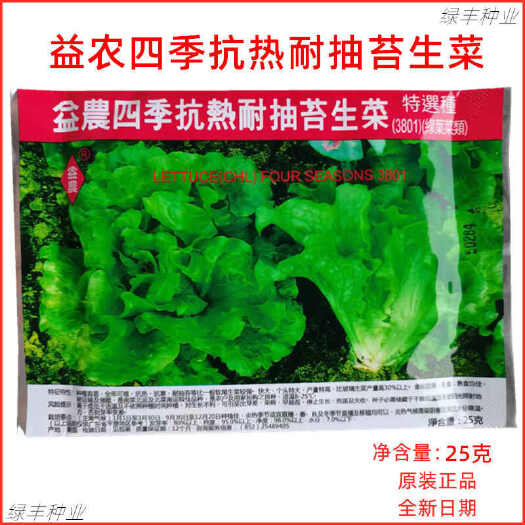 蔡兴利益农生菜种子四季抗热耐抽苔生菜种籽春夏秋季蔬菜种子种孑