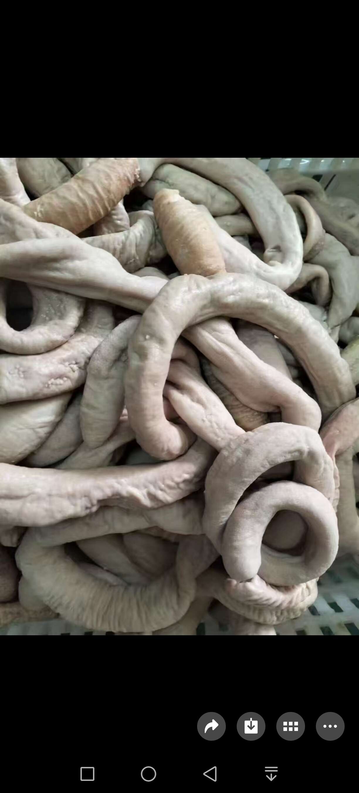 全部牛副产品