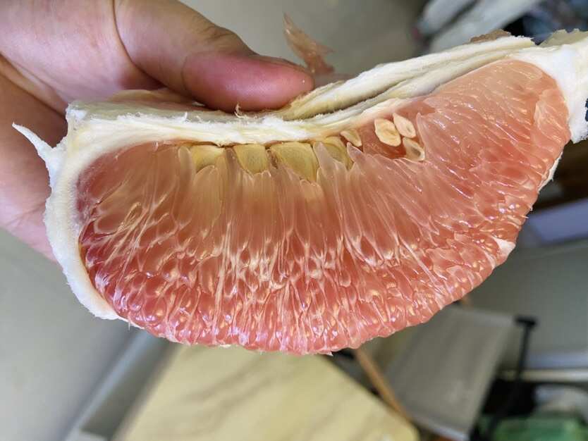 容县本地红心蜜柚，自家果园，一手货源，果皮薄肉厚，肉质细腻