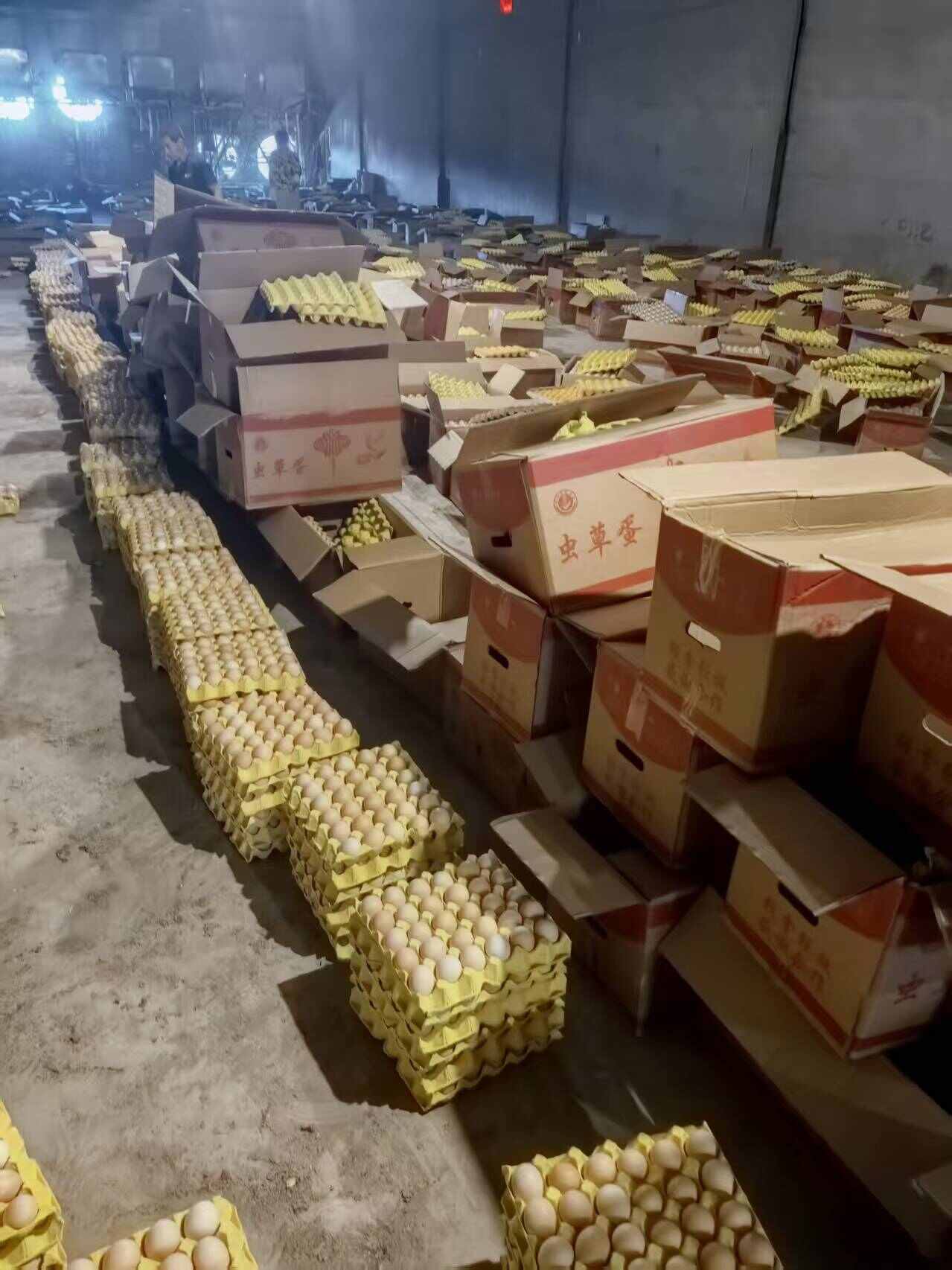 鸡蛋粉蛋红鸡蛋