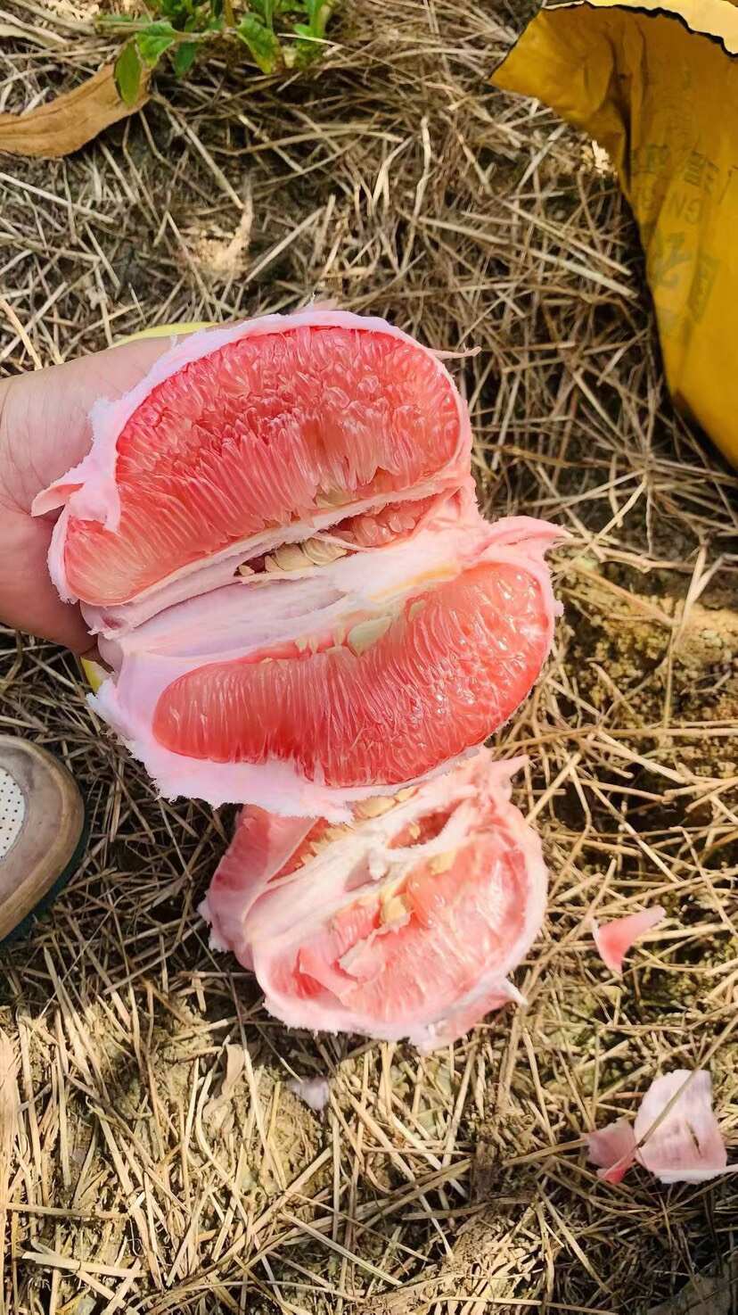 容县本地红心蜜柚，自家果园，一手货源，果皮薄肉厚，肉质细腻