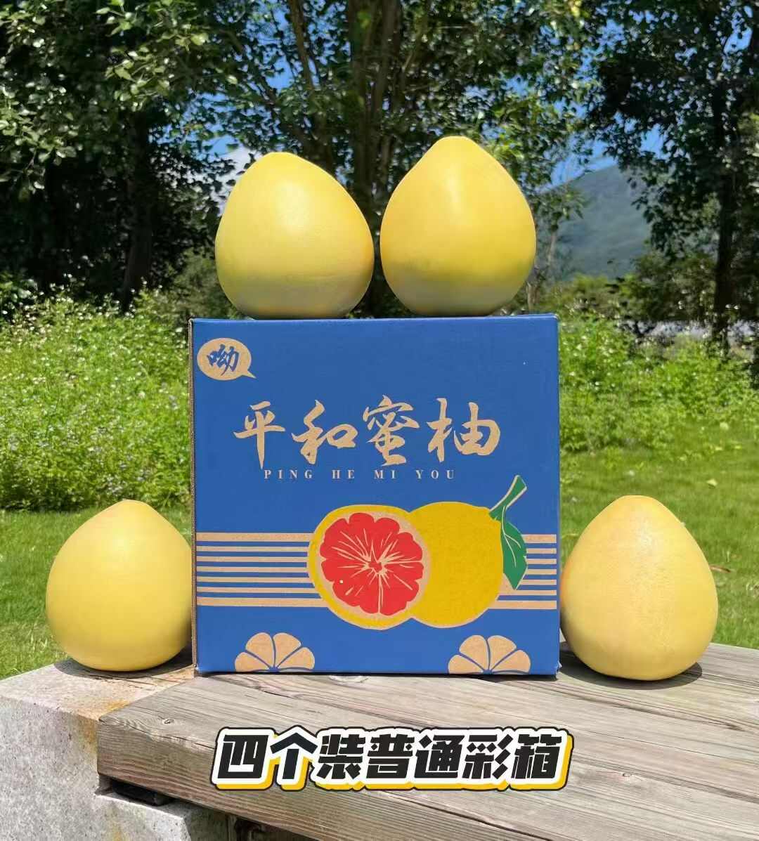 福建平和琯溪蜜柚红柚三红柚黄柚白柚四大名柚琯