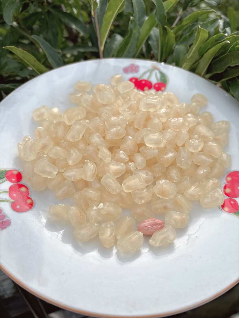 怀远白花玉石籽，颗粒饱满，现摘现发，量大从优