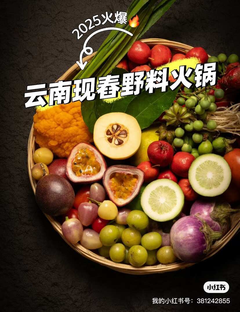 云南现舂野佐料火锅底料