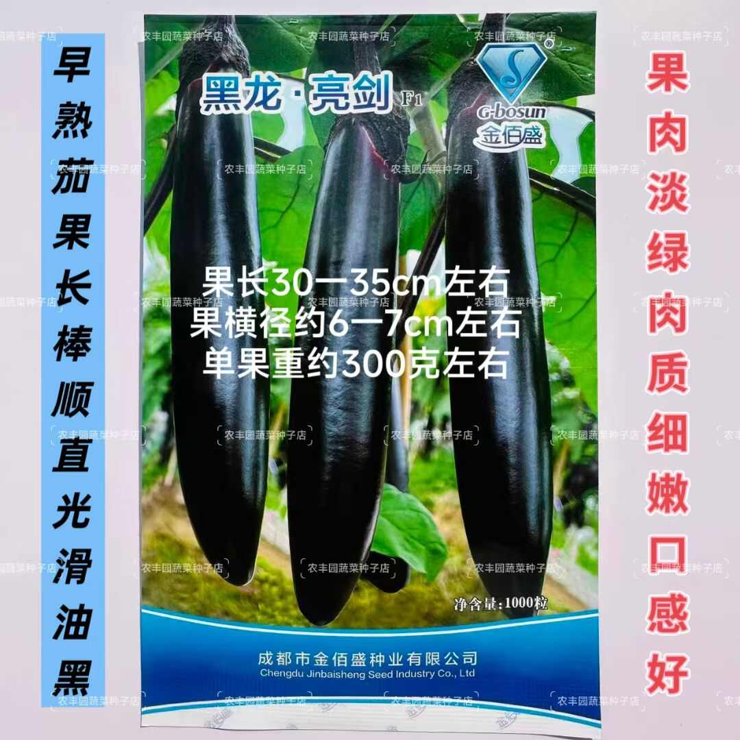 黑龙亮剑茄子种子丰产抗病茄子种籽杂交茄果顺直黑油亮长茄子种子