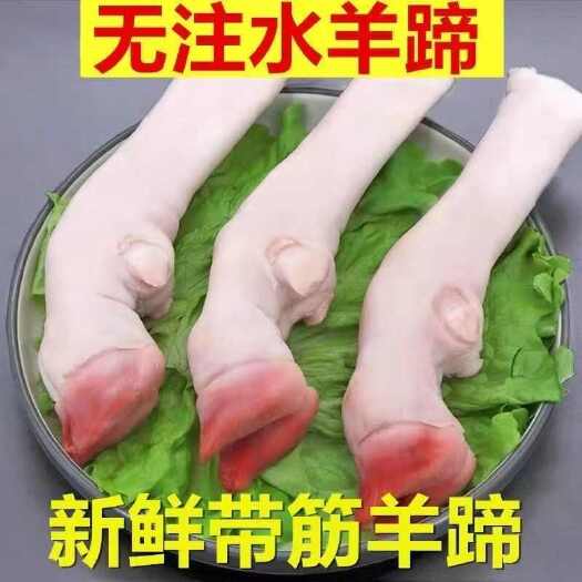 中牟县专业各种羊蹄（毛羊蹄、水羊蹄）批发，量大量大，价格实惠！欢迎
