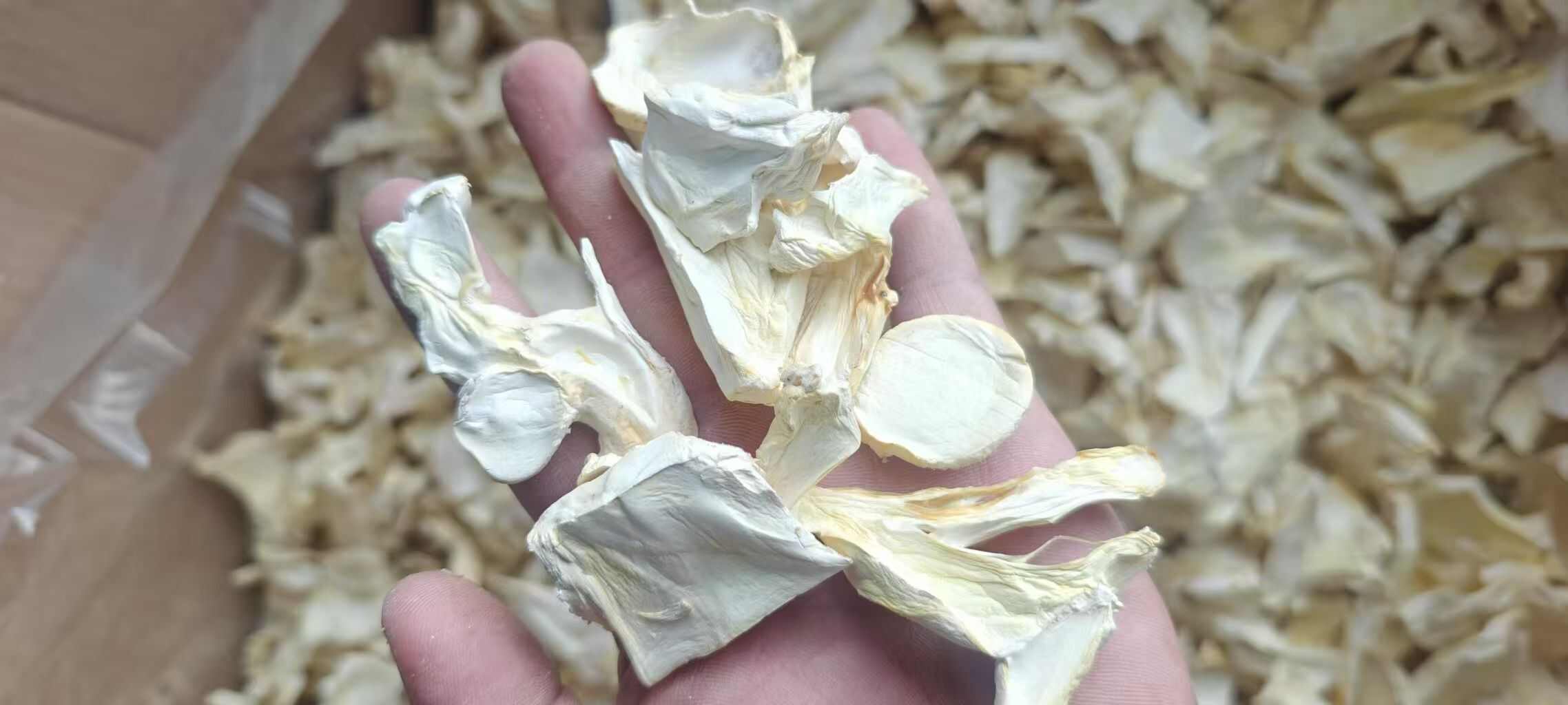 杏鲍菇菇片，过1.5筛，干净，无杂