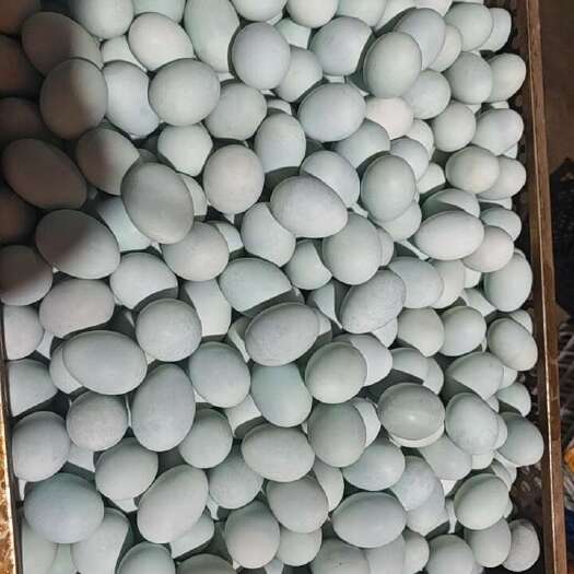 利辛县金定鸭熟鸭蛋