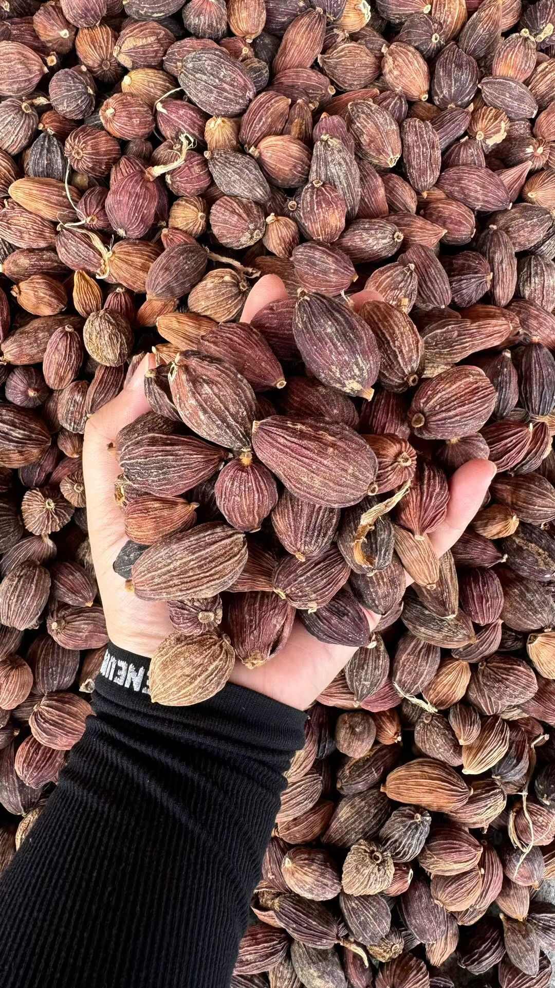 草果争香提鲜味道好