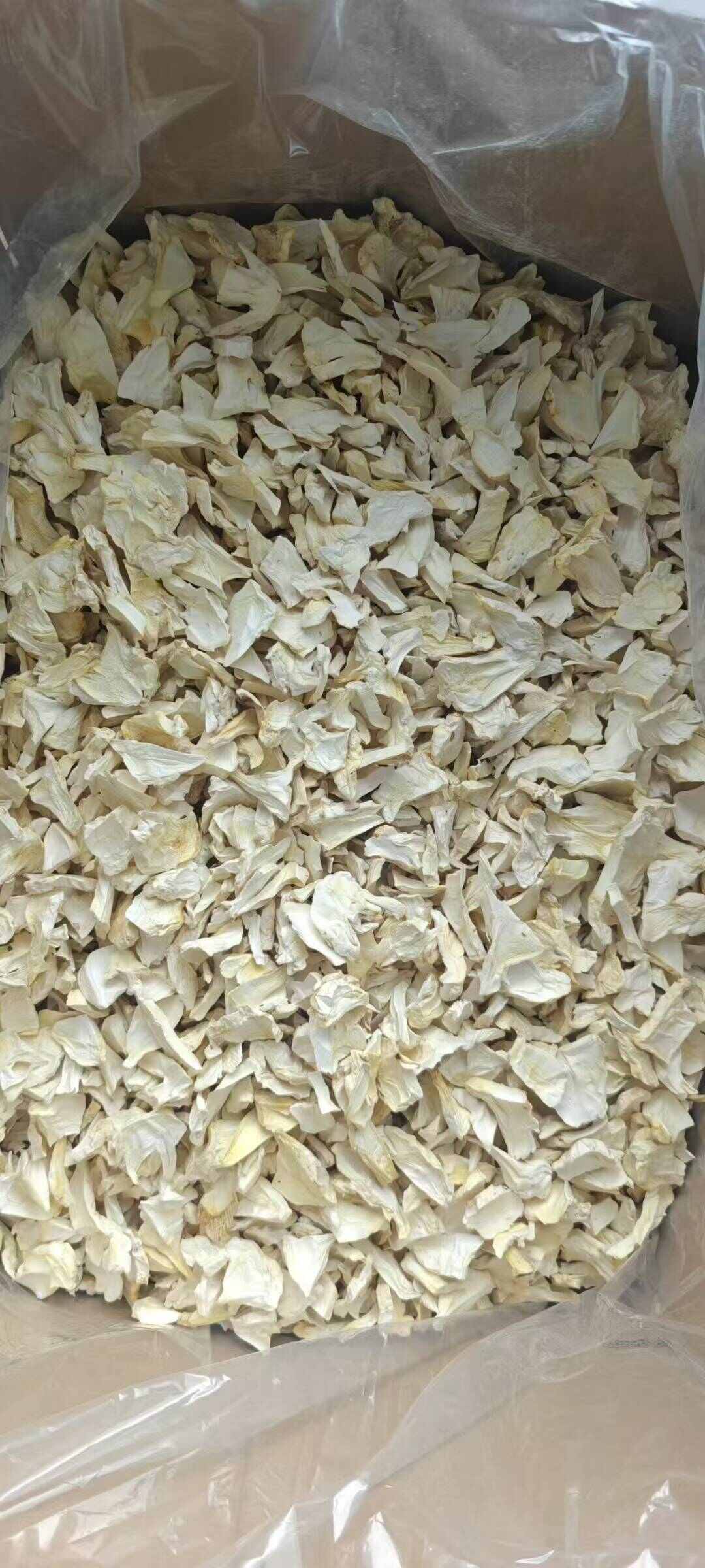 杏鲍菇菇片，过1.5筛，干净，无杂