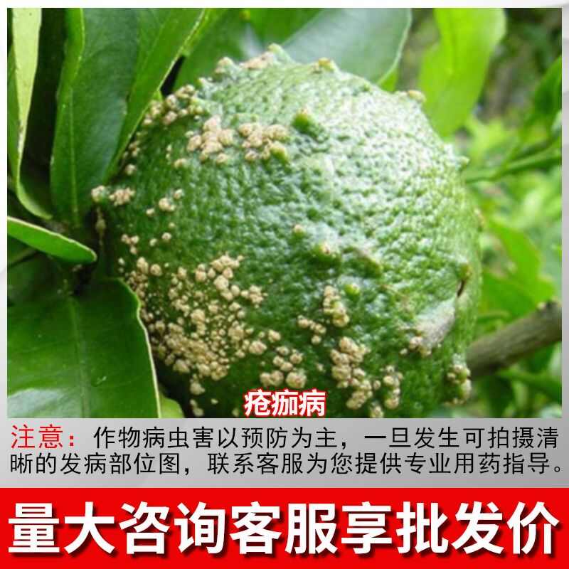 托球润净25%溴菌腈微乳剂柑橘疮痂病农药内吸杀菌剂