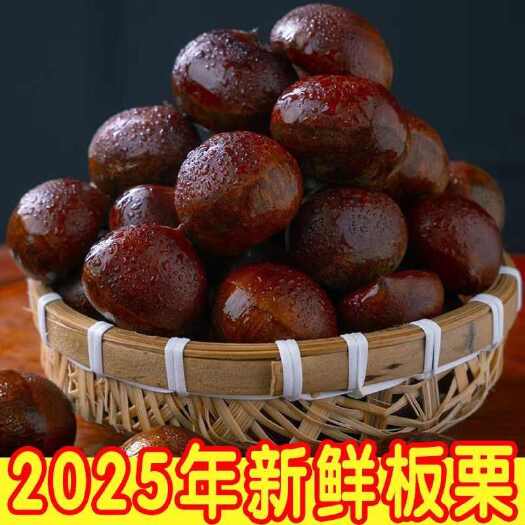 凤城市【5斤净重果王】2025新鲜丹东板栗生栗子甜糯非油栗蔬菜批发