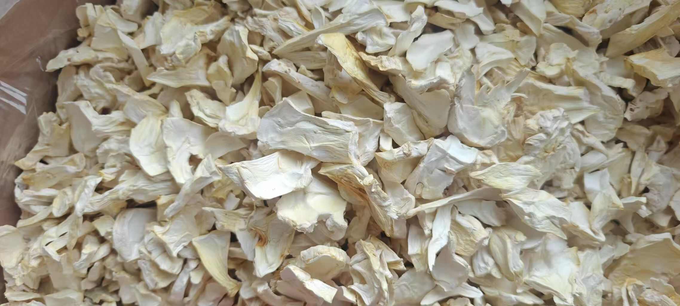 杏鲍菇菇片，过1.5筛，干净，无杂