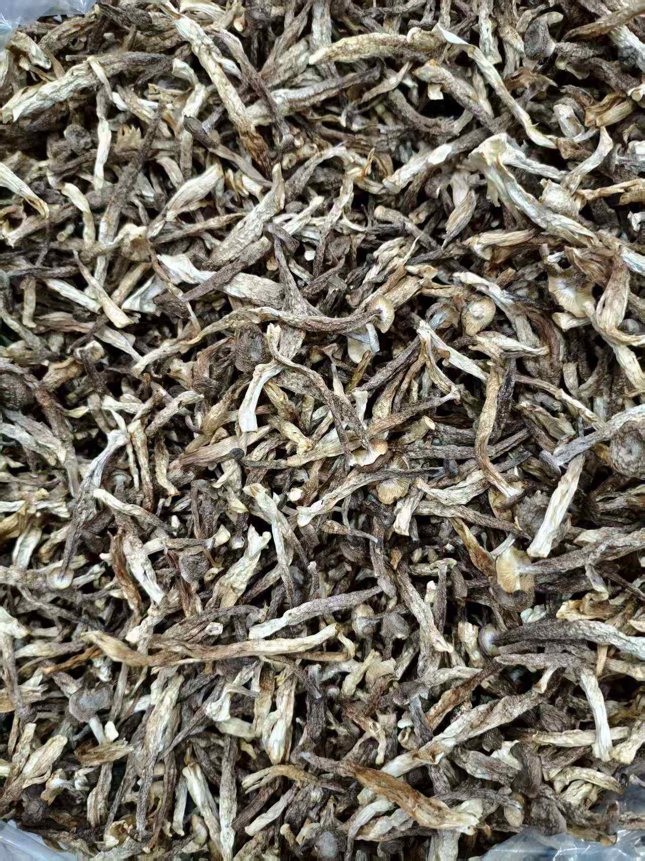 鹿茸菇碎碎菇大量现货厂家直销规格齐全