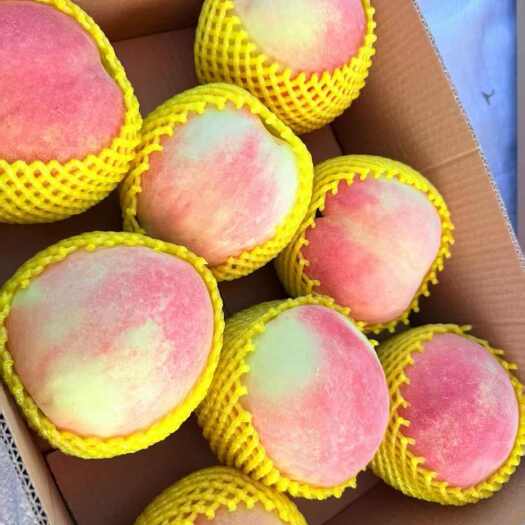 曲阳县中华寿桃