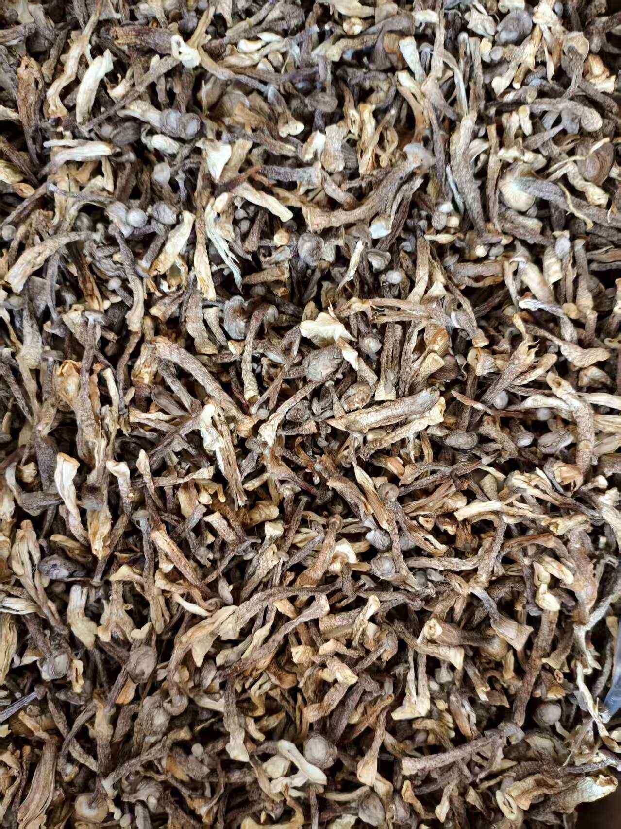 鹿茸菇碎碎菇大量现货厂家直销规格齐全