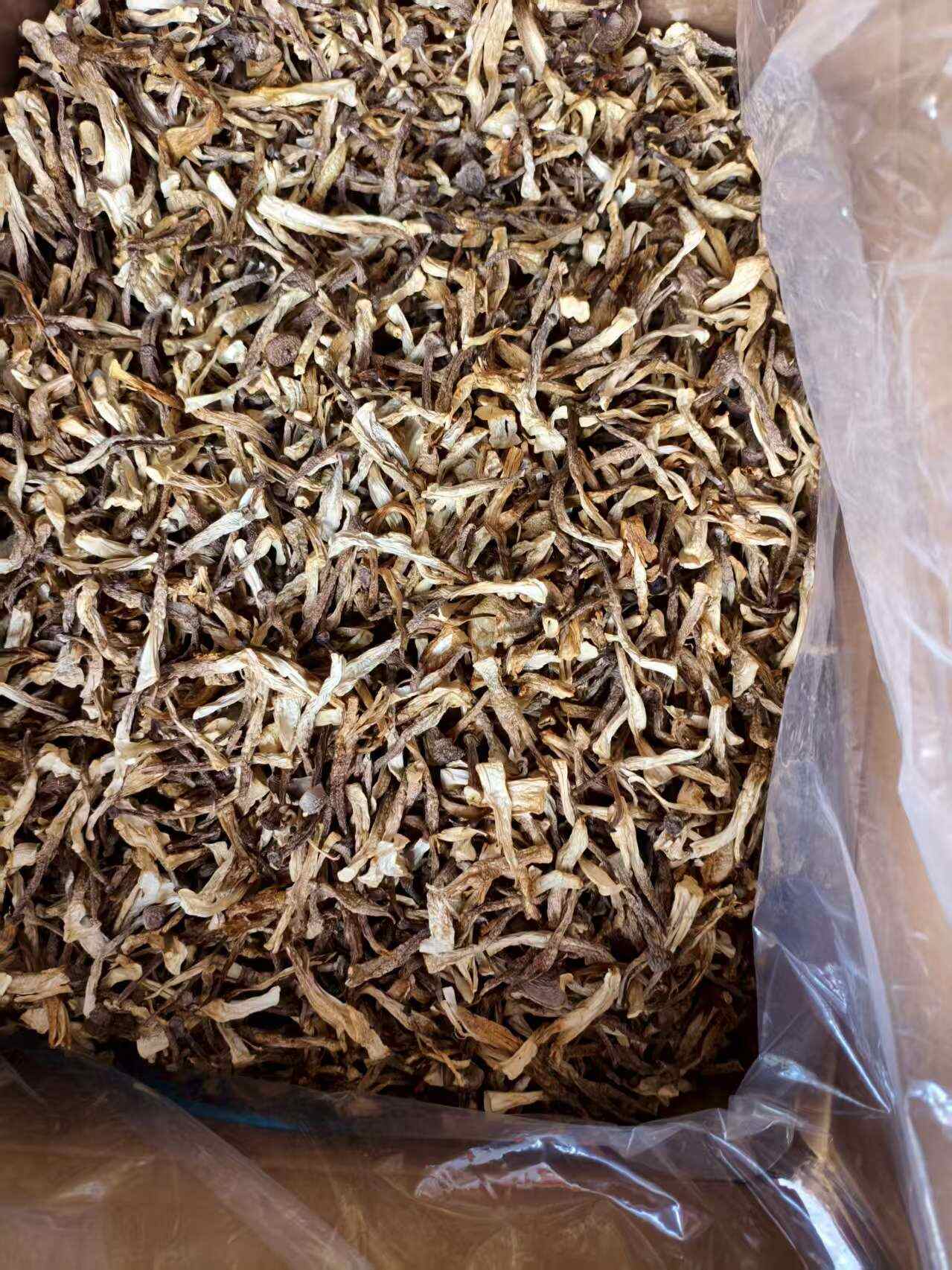 鹿茸菇碎碎菇大量现货厂家直销规格齐全