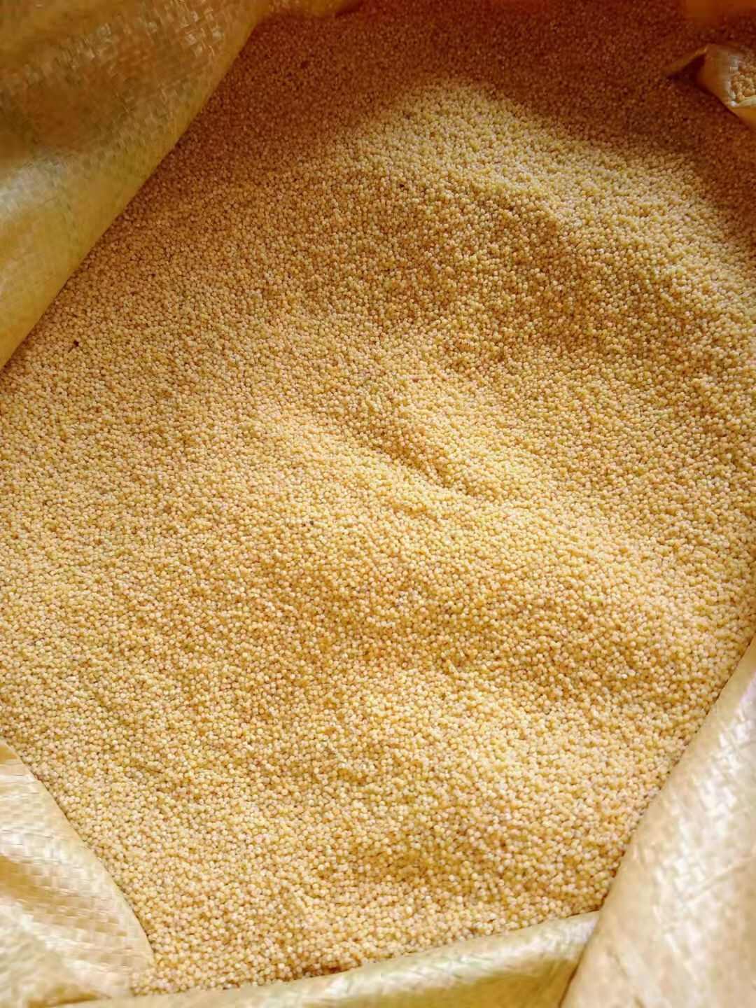 自家自产小米，品质保证，无论是送礼还是自己吃都非常好