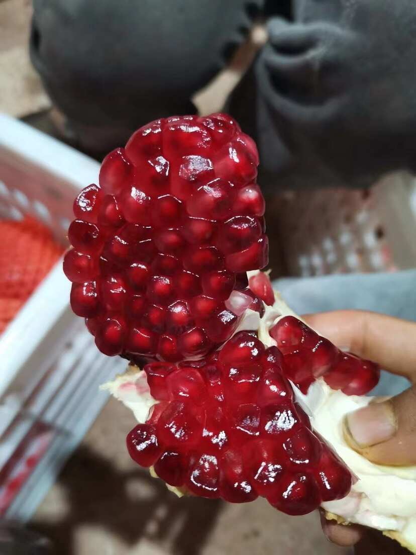 临潼甜石榴