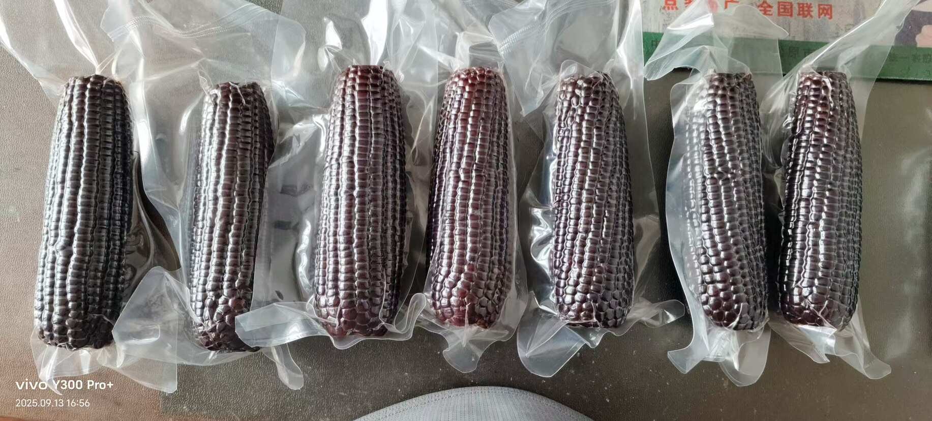 2025头茬新货黑糯玉米 粘玉米