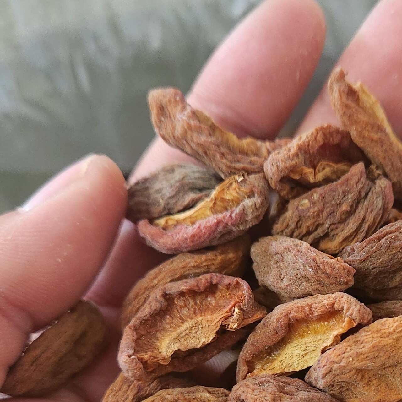 自然晾晒杏干，大山里的美味，酸酸甜甜