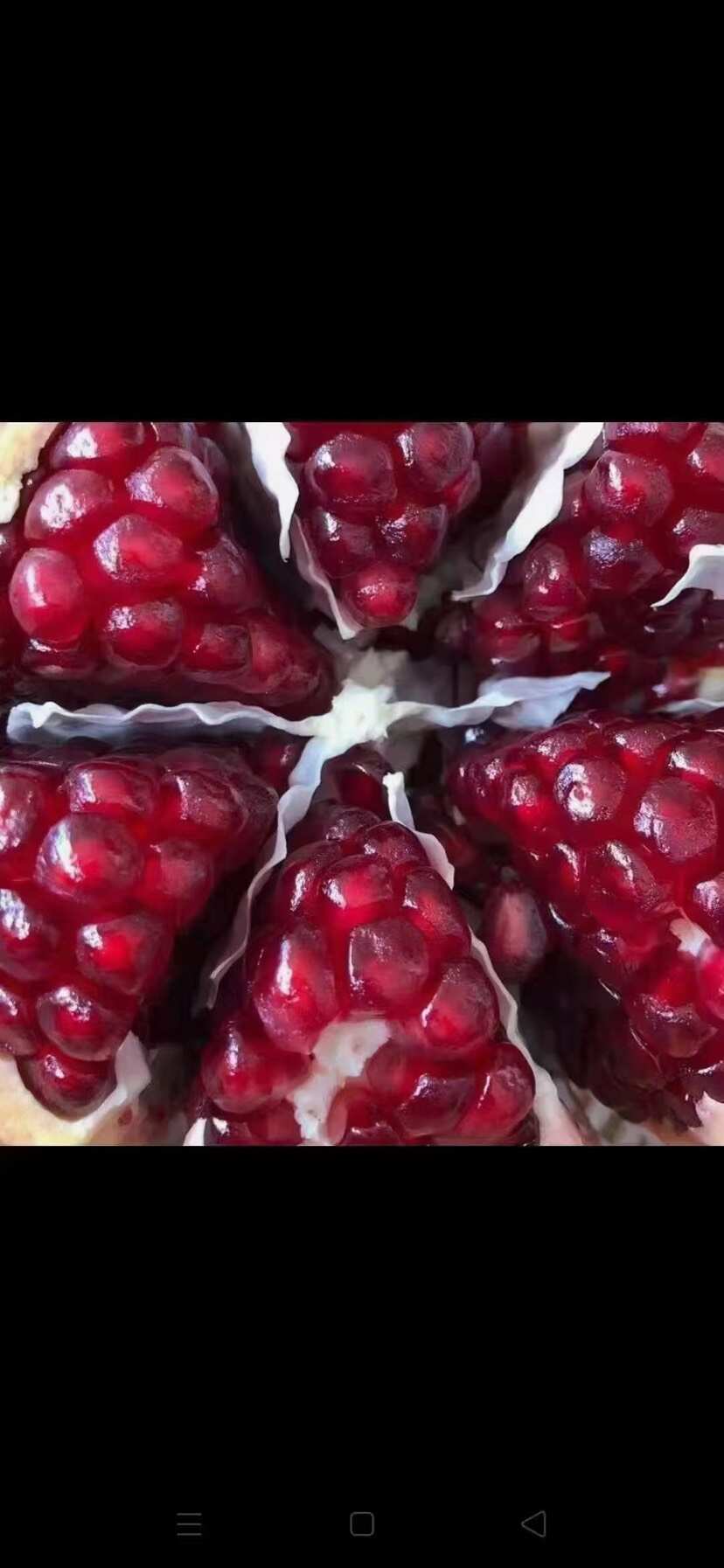 临潼甜石榴