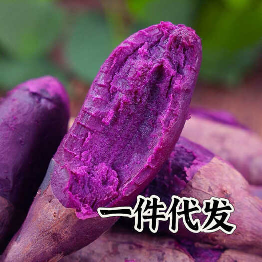 宜城市【紫薯产区】紫罗兰粉糯紫薯 新鲜现挖 老少皆宜营养高