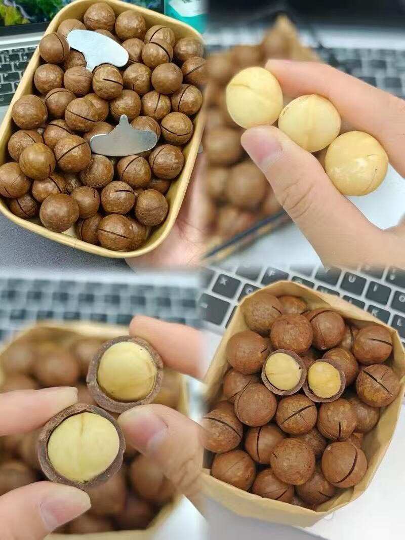 夏威夷果，大量现货，，批发代发