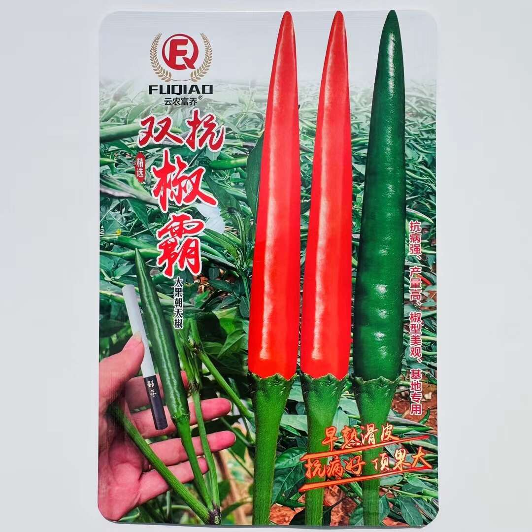 新品种双抗椒霸朝天椒种子大号辣椒种子硬度好抗病丰产早熟滑皮椒