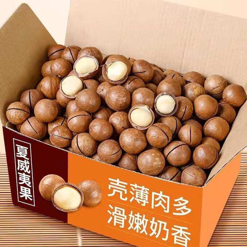 夏威夷果，大量现货，，批发代发