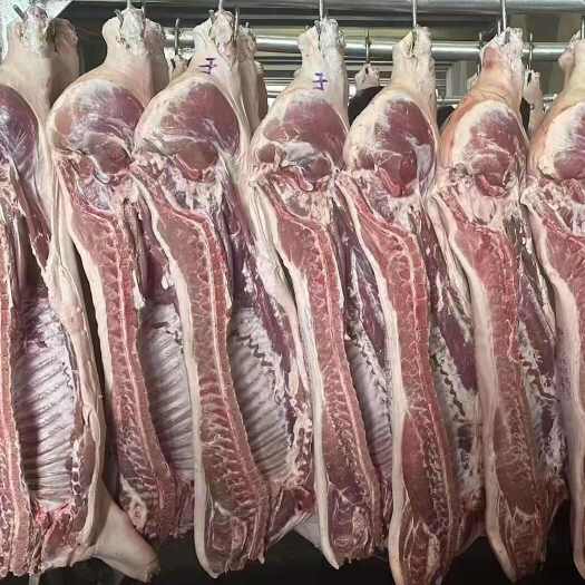 武汉二级鲜白条