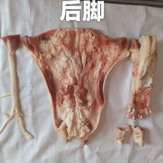 横州市去骨脱脂去腥猪蹄
