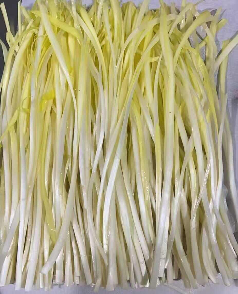 千亩韭黄产地直供