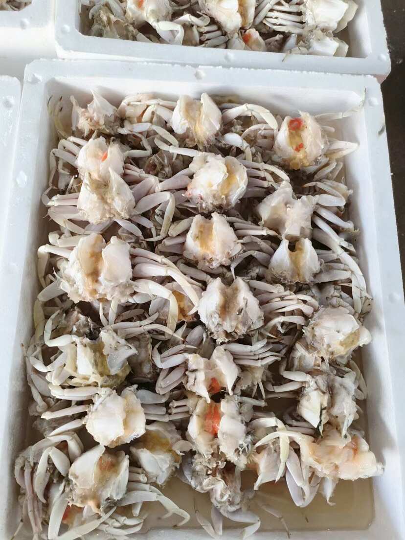 元宝蟹面包蟹身去壳批发酒店餐厅