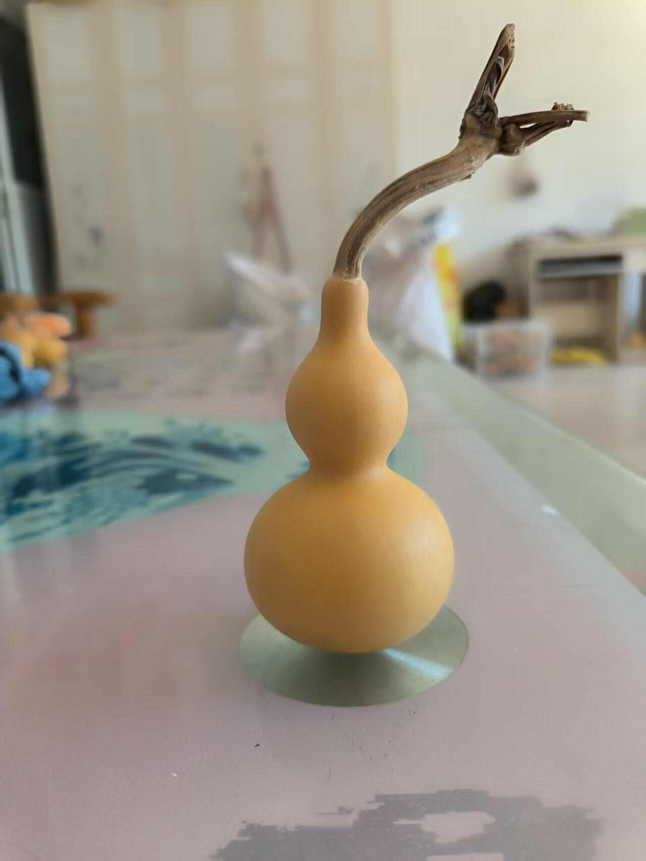 天然小美国葫芦