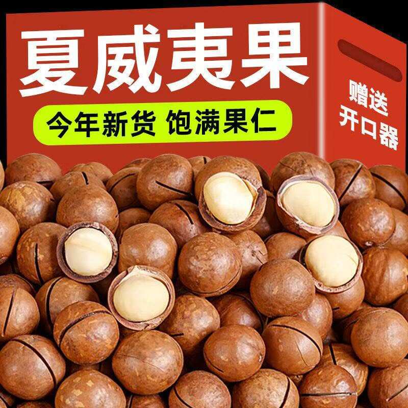 夏威夷果批发，现货大量