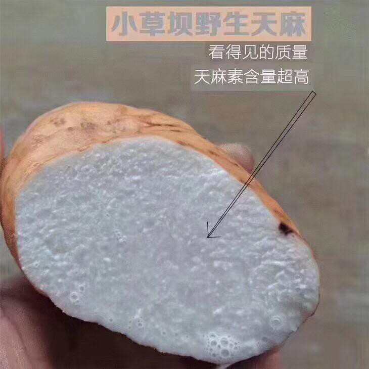 云南昭通新鲜天麻礼盒