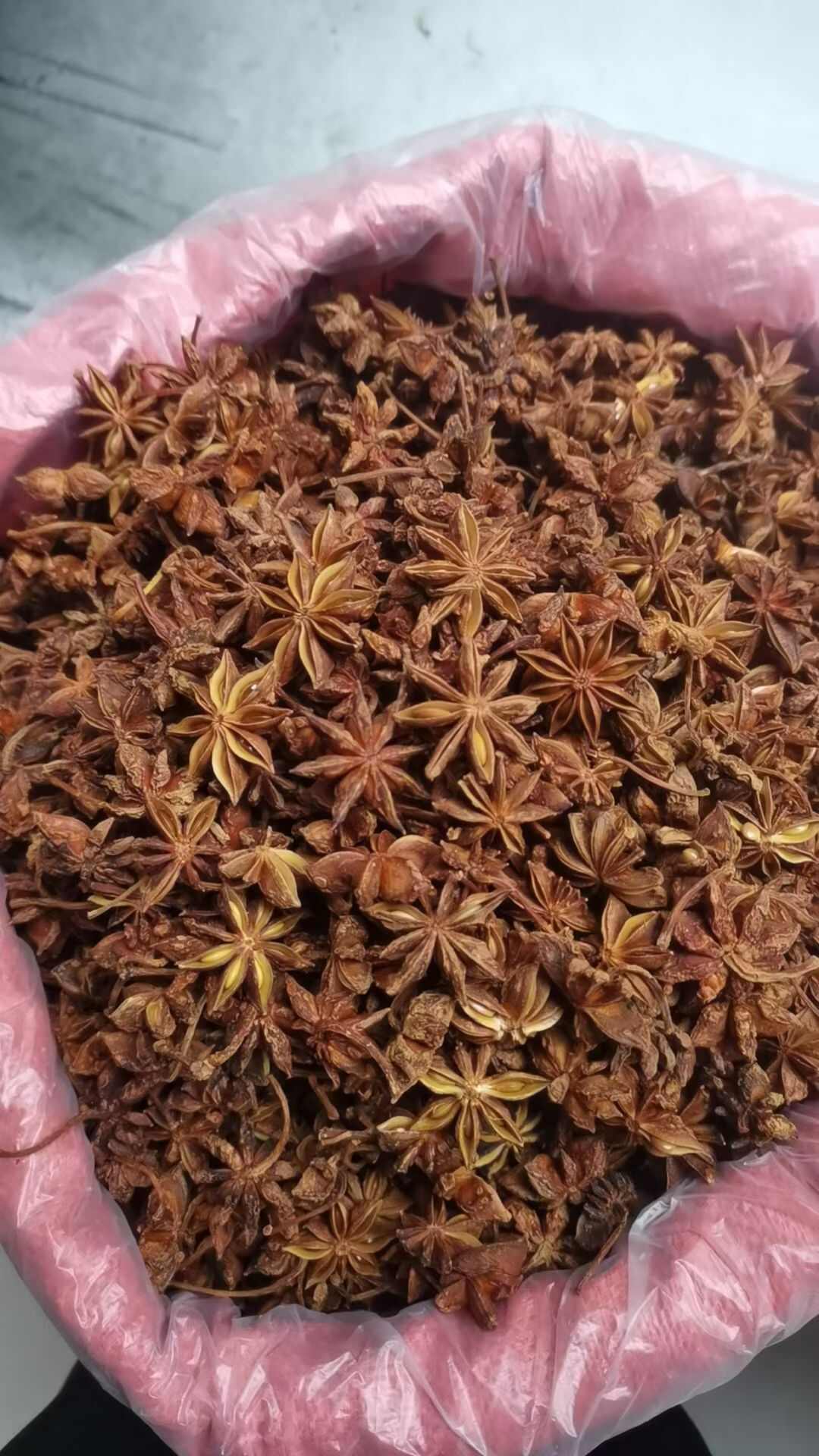 广西柳州大红八角