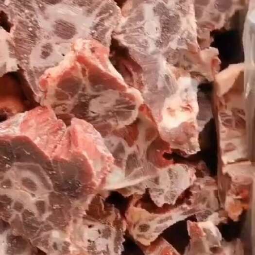 多肉羊蝎子